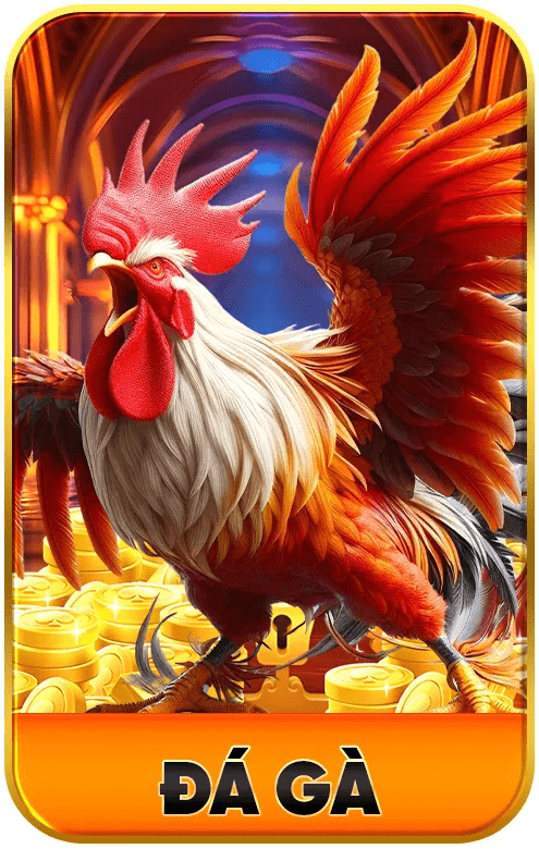 k8 icon 1